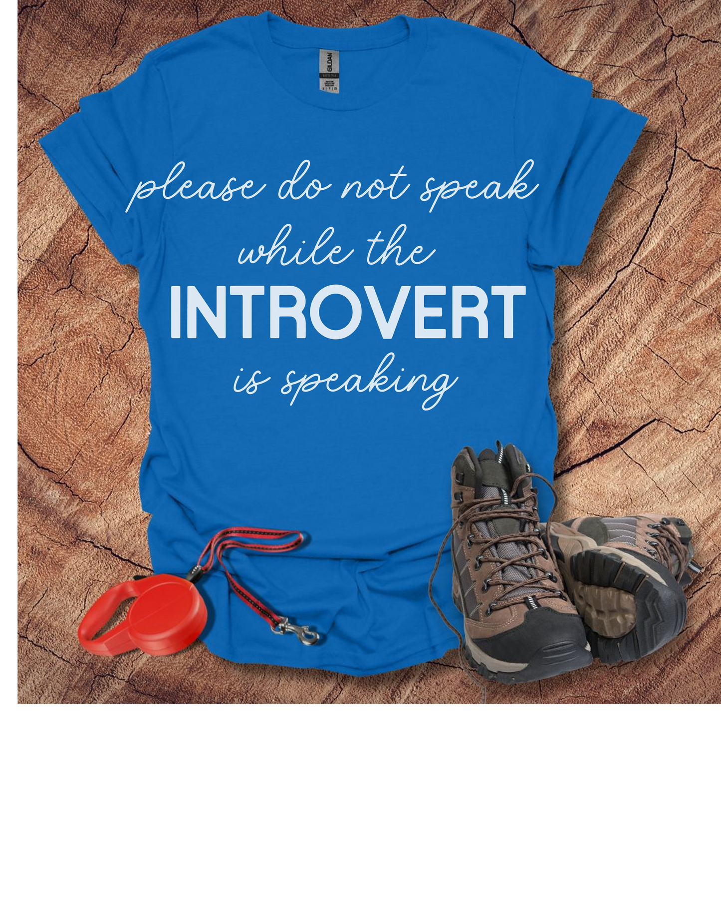 'Please Do Not Speak While The Introvert Is Speaking'