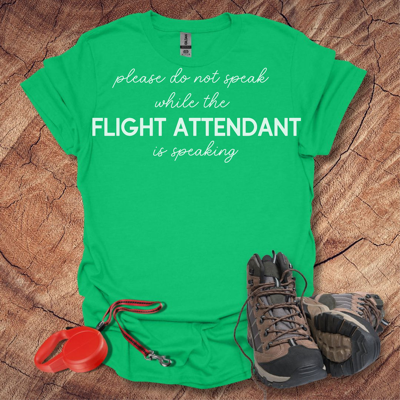 Flight Attendant Is Speaking Reminder