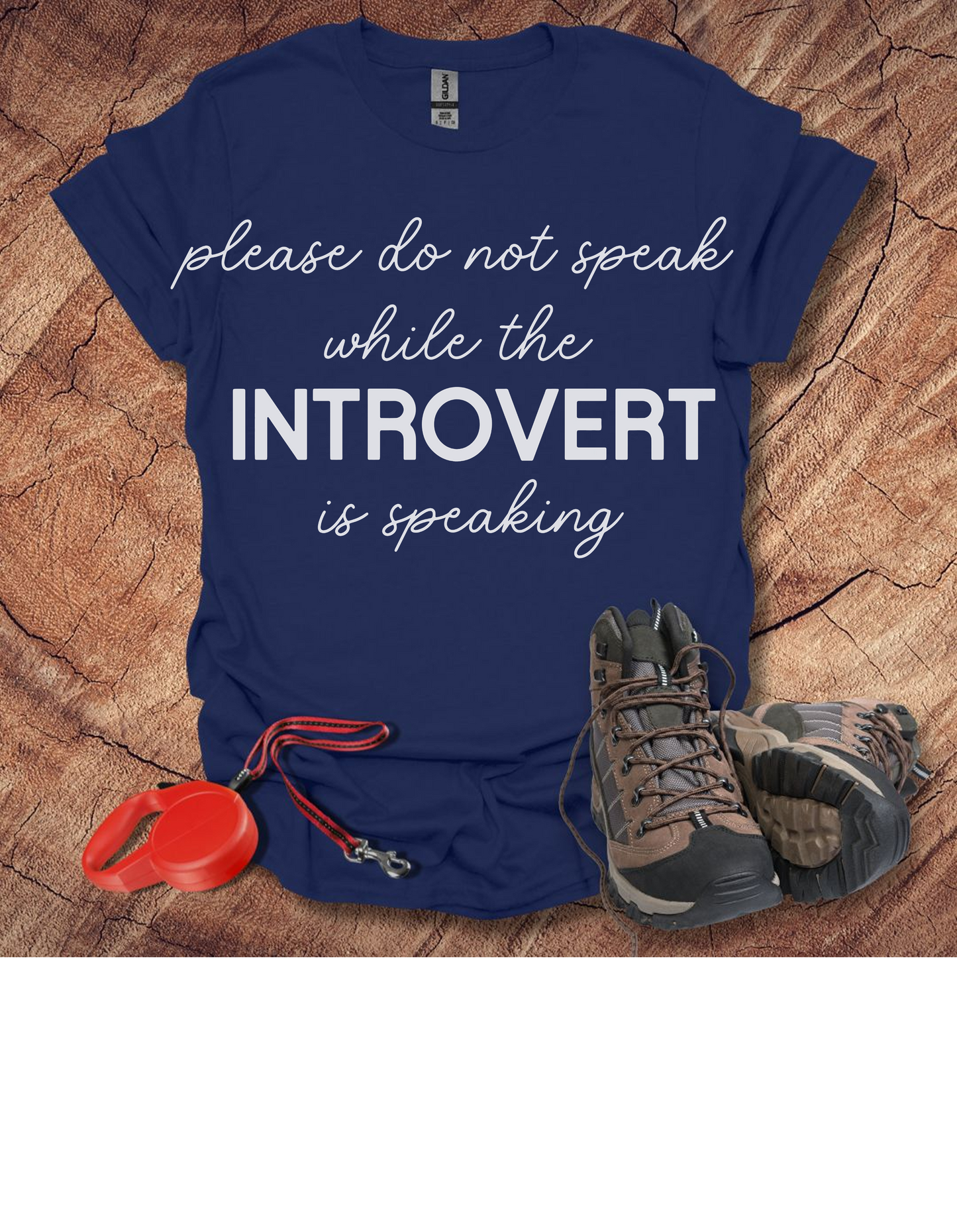 'Please Do Not Speak While The Introvert Is Speaking'