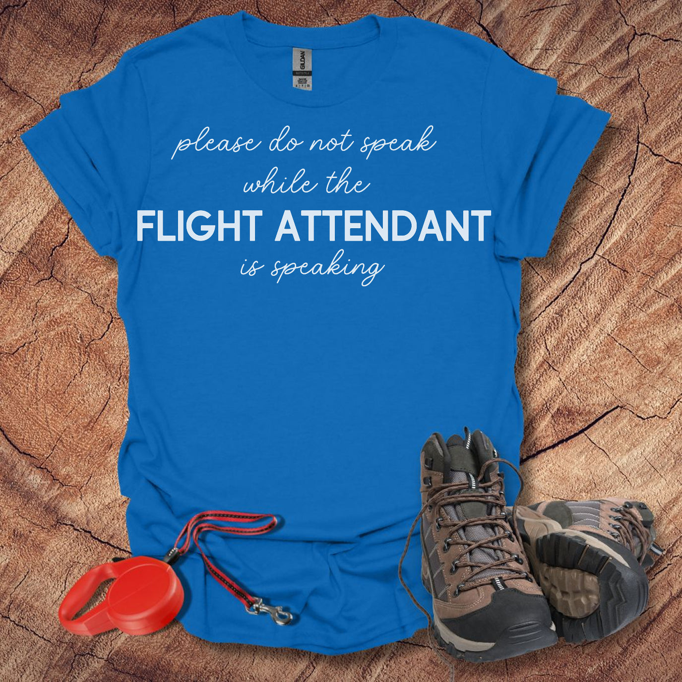 Flight Attendant Is Speaking Reminder