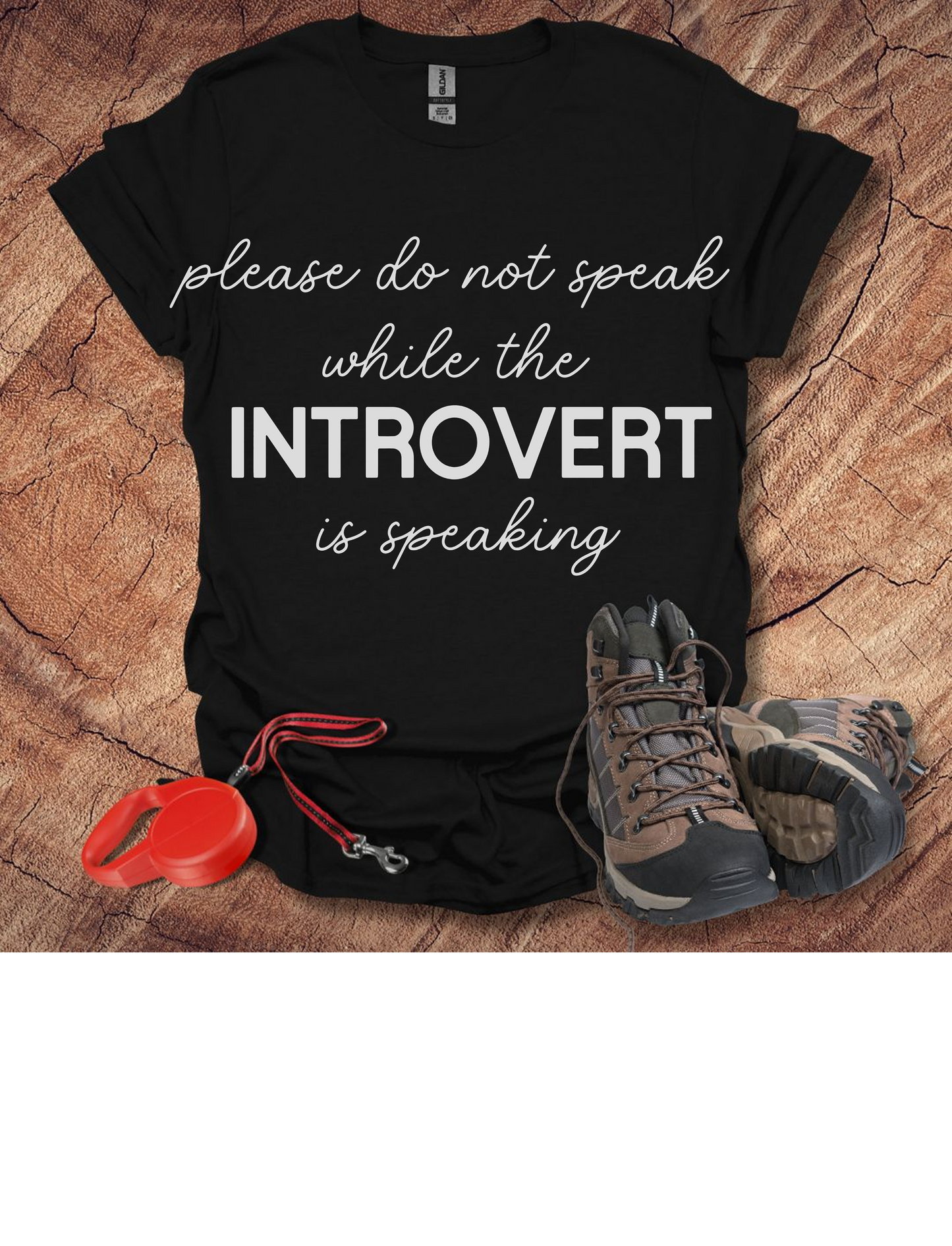 'Please Do Not Speak While The Introvert Is Speaking'