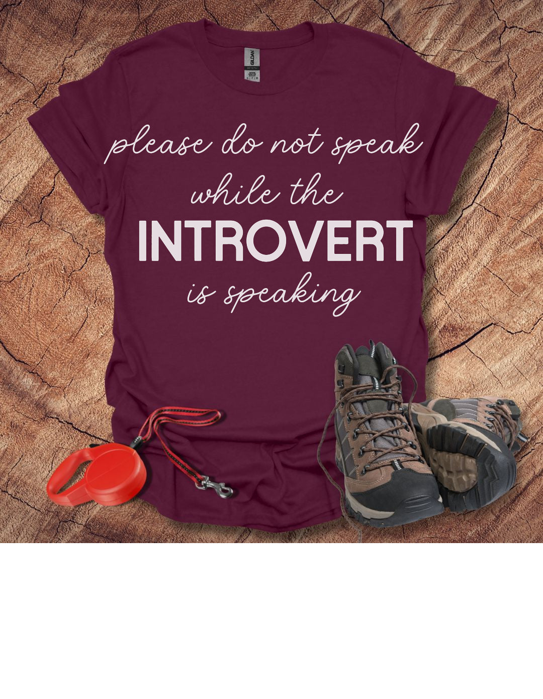 'Please Do Not Speak While The Introvert Is Speaking'