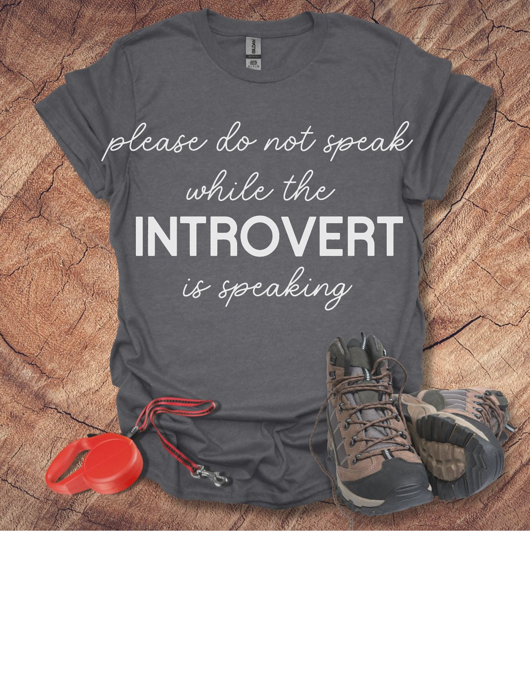 'Please Do Not Speak While The Introvert Is Speaking'