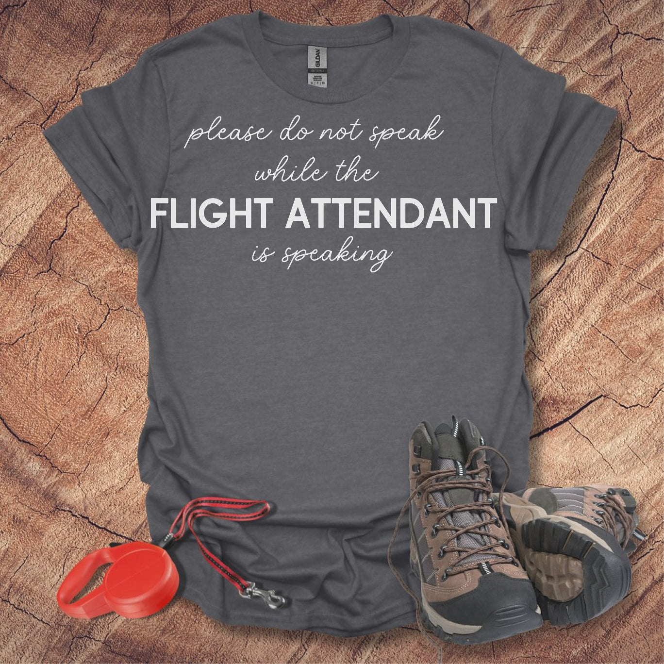 Flight Attendant Is Speaking Reminder