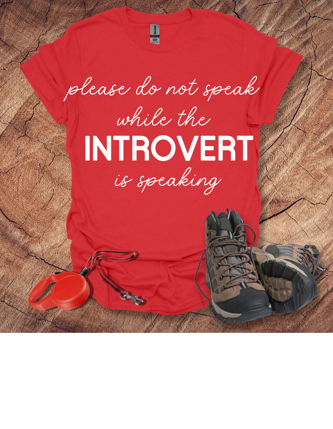 'Please Do Not Speak While The Introvert Is Speaking'