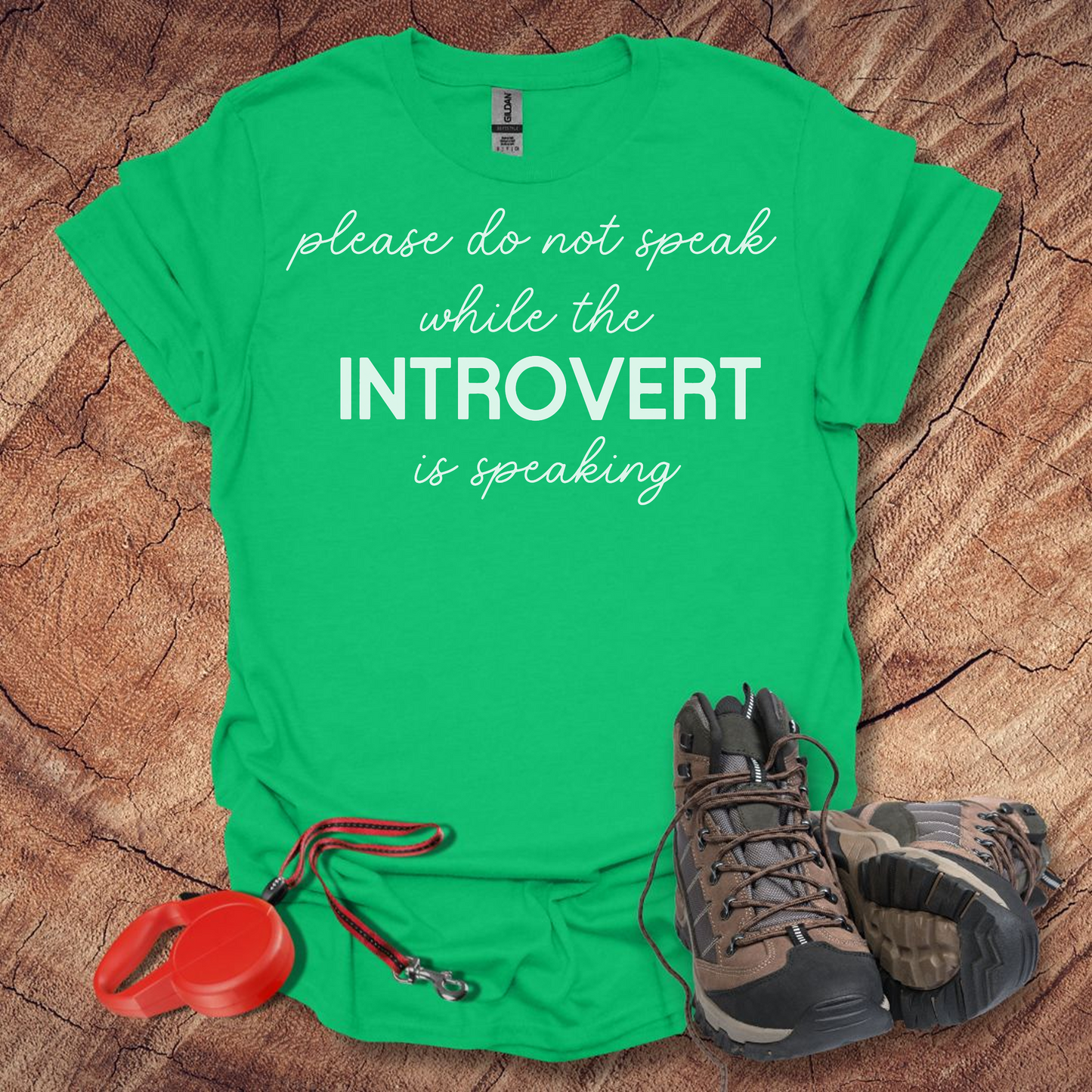 'Please Do Not Speak While The Introvert Is Speaking'